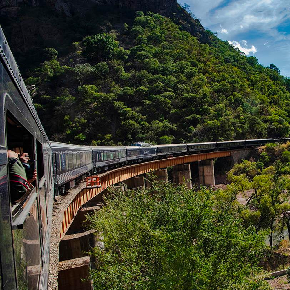 Chepe Express en puente